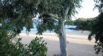 Villa Bifamiliare 10 locali di 220 m² in Palau (07020)