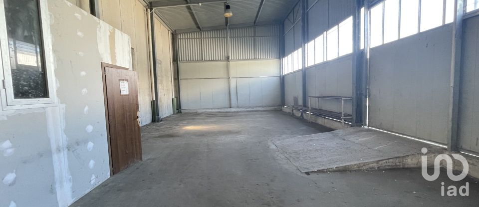 Warehouse of 3,500 m² in Morrovalle (62010)