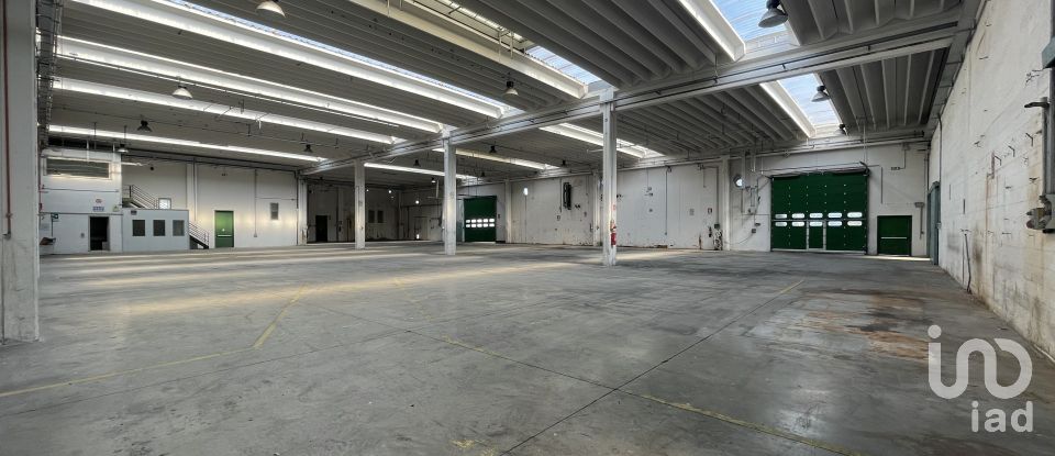 Capannone di 3.500 m² in Morrovalle (62010)