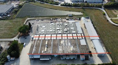 Warehouse of 3,500 m² in Morrovalle (62010)