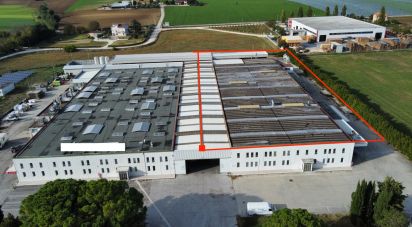 Warehouse of 3,500 m² in Morrovalle (62010)