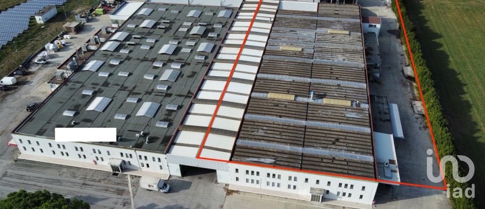 Warehouse of 3,500 m² in Morrovalle (62010)