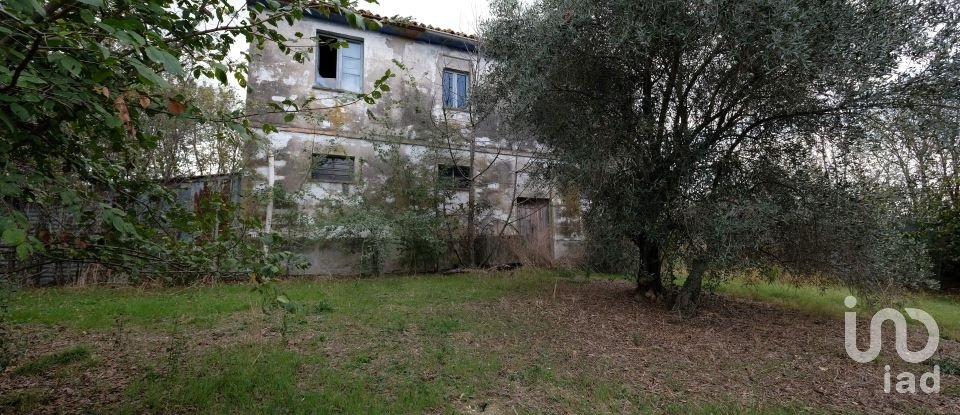 Casa indipendente 8 locali di 162 m² in Belvedere Ostrense (60030)