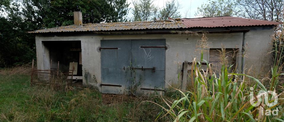 Casa indipendente 8 locali di 162 m² in Belvedere Ostrense (60030)