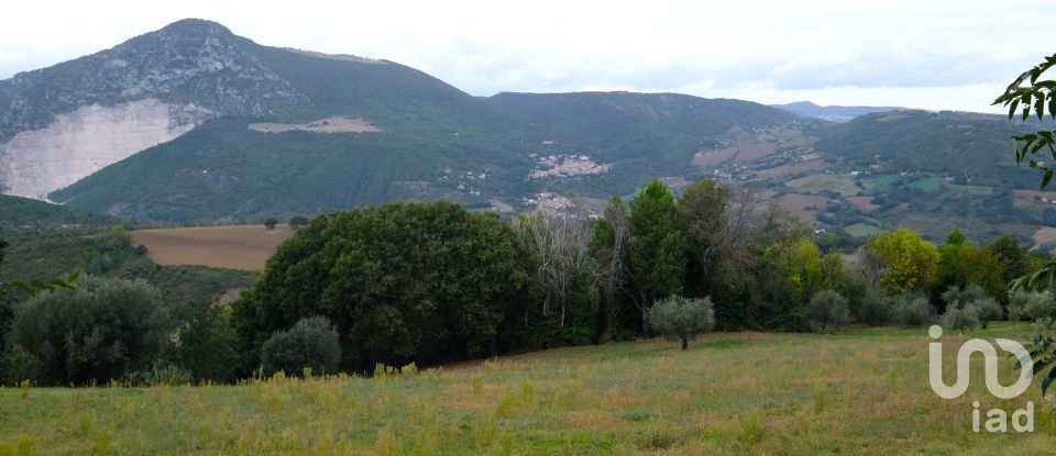 Lodge 13 rooms of 220 m² in Serra San Quirico (60048)