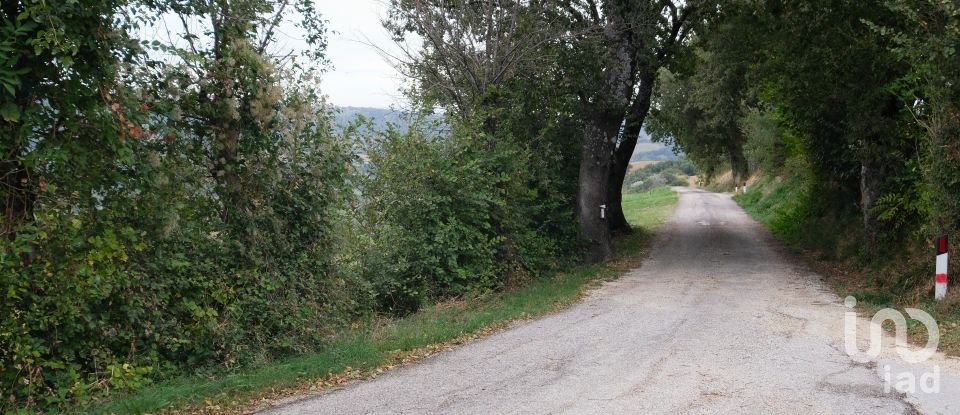 Lodge 13 rooms of 220 m² in Serra San Quirico (60048)