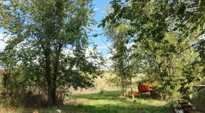 Lodge 4 rooms of 135 m² in Scansano (58054)