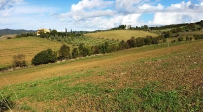 Land of 146,843 m² in Scansano (58054)