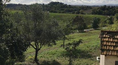 Land of 146,843 m² in Scansano (58054)