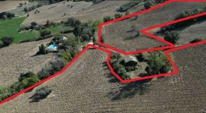 Land of 39,230 m² in Morrovalle (62010)