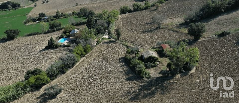 Terreno di 39.230 m² in Morrovalle (62010)