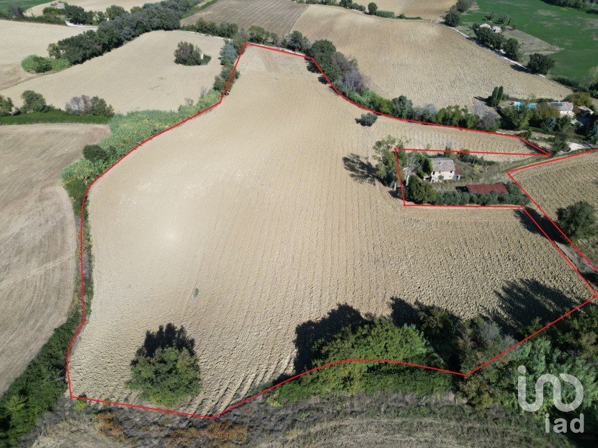 Terreno di 39.230 m² in Morrovalle (62010)