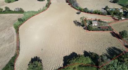 Terreno di 39.230 m² in Morrovalle (62010)