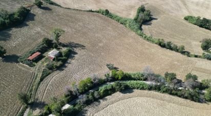 Terreno di 39.230 m² in Morrovalle (62010)