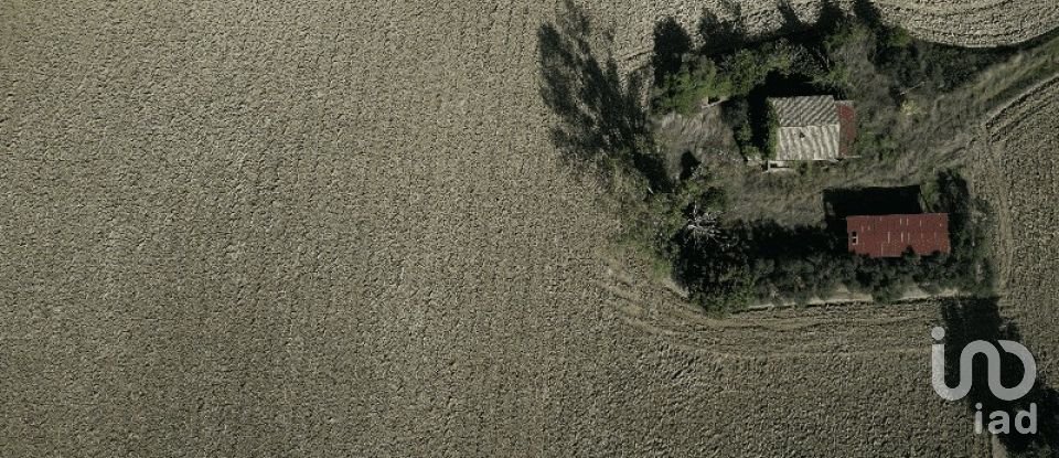 Terreno di 39.230 m² in Morrovalle (62010)