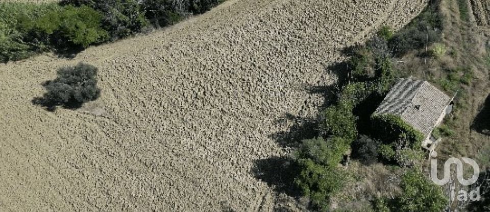 Terreno di 39.230 m² in Morrovalle (62010)