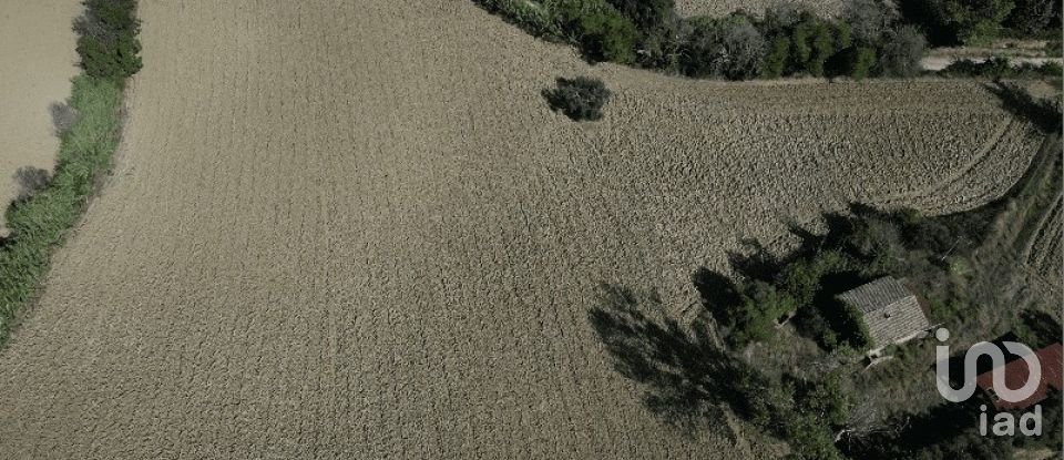 Terreno di 39.230 m² in Morrovalle (62010)