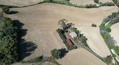 Terreno di 39.230 m² in Morrovalle (62010)