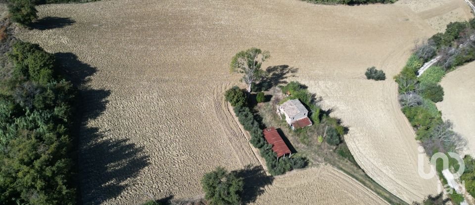 Terreno di 39.230 m² in Morrovalle (62010)