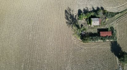 Terreno di 39.230 m² in Morrovalle (62010)