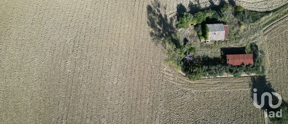 Terreno di 39.230 m² in Morrovalle (62010)