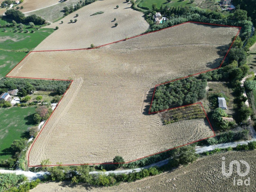Land of 39,455 m² in Morrovalle (62010)