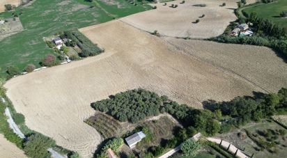 Terreno di 39.455 m² in Morrovalle (62010)