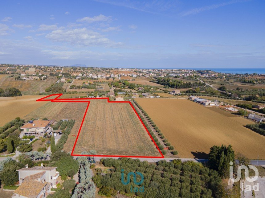Land of 17,401 m² in Porto Sant'Elpidio (63821)