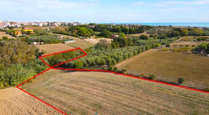 Land of 17,401 m² in Porto Sant'Elpidio (63821)