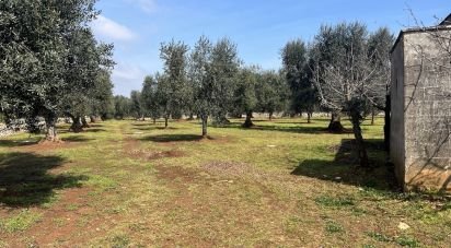 Casa indipendente 3 locali di 80 m² in Ceglie Messapica (72013)