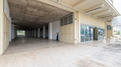 Palazzo / Stabile di 5.300 m² in Guidonia Montecelio (00012)