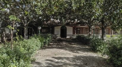 Casale 28 locali di 670 m² in Aprilia (04011)