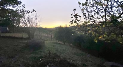 Land of 2,694 m² in Sant'Elpidio a Mare (63811)