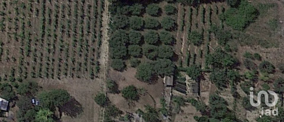 Terreno di 2.694 m² in Sant'Elpidio a Mare (63811)