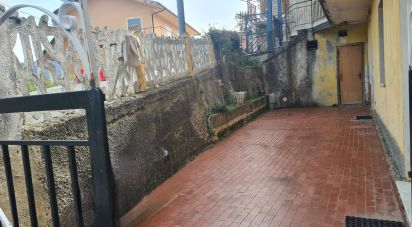 Appartamento 7 locali di 154 m² a San Mango d'Aquino (88040)