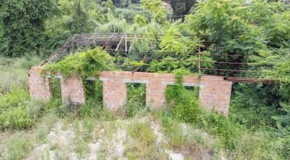 Capannone di 540 m² in Civitanova Marche (62012)