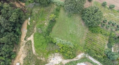 Capannone di 540 m² in Civitanova Marche (62012)