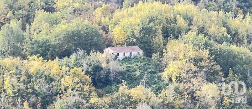 Townhouse 10 rooms of 200 m² in Montegiorgio (63833)