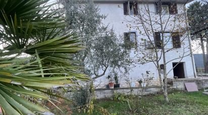 Abitazione 8 locali di 234 m² in Gerano (00025)