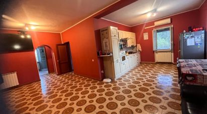 Abitazione 8 locali di 234 m² in Gerano (00025)