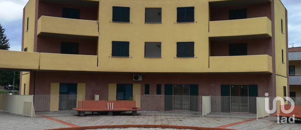 Costruzione di 2.800 m² in Cerreto d'Esi (60043)