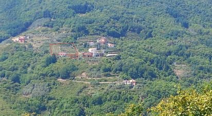 Casa indipendente 5 locali di 116 m² in Mezzanego (16046)