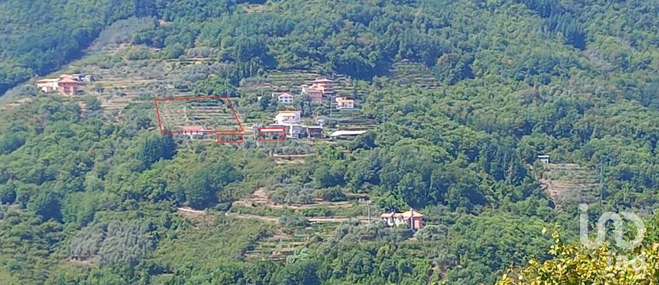Town house 5 rooms of 116 m² in Mezzanego (16046)