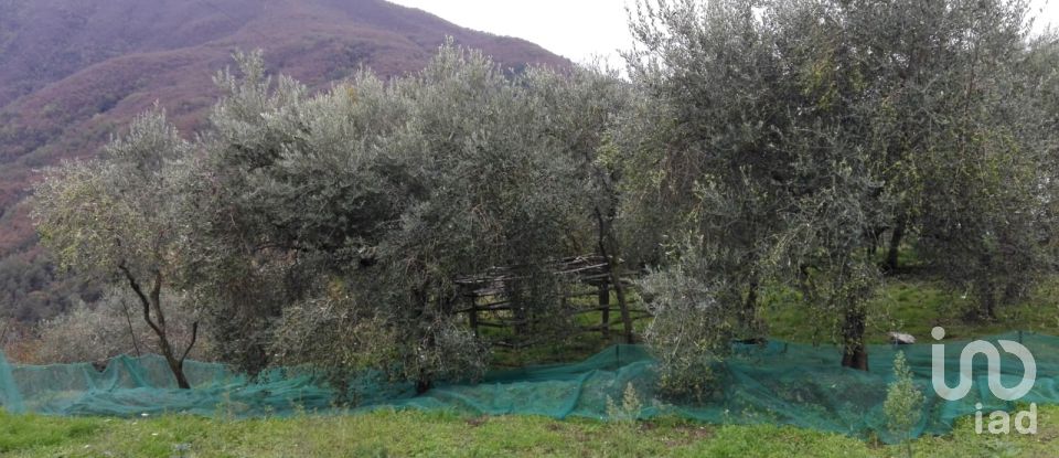 Casa indipendente 5 locali di 116 m² in Mezzanego (16046)