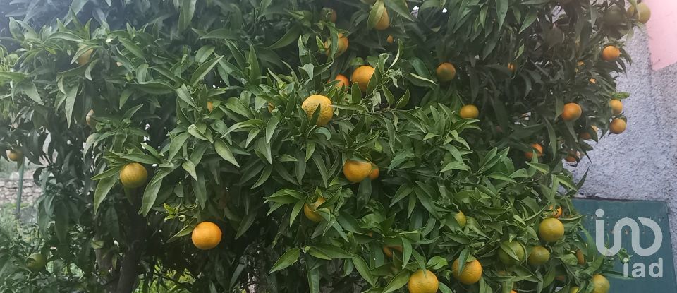 Casa indipendente 5 locali di 116 m² in Mezzanego (16046)