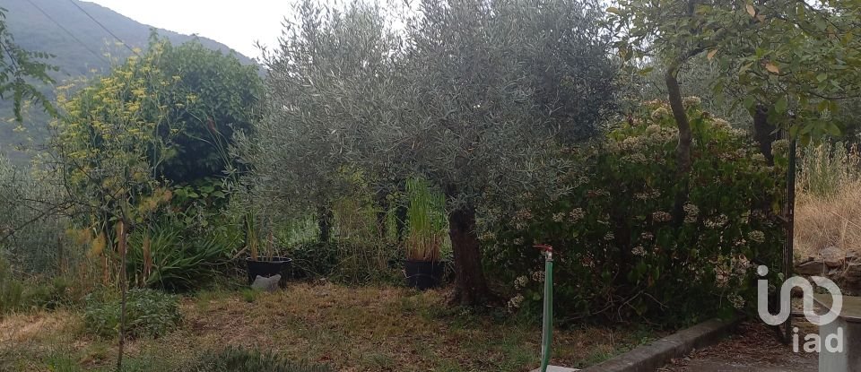 Casa indipendente 5 locali di 116 m² in Mezzanego (16046)