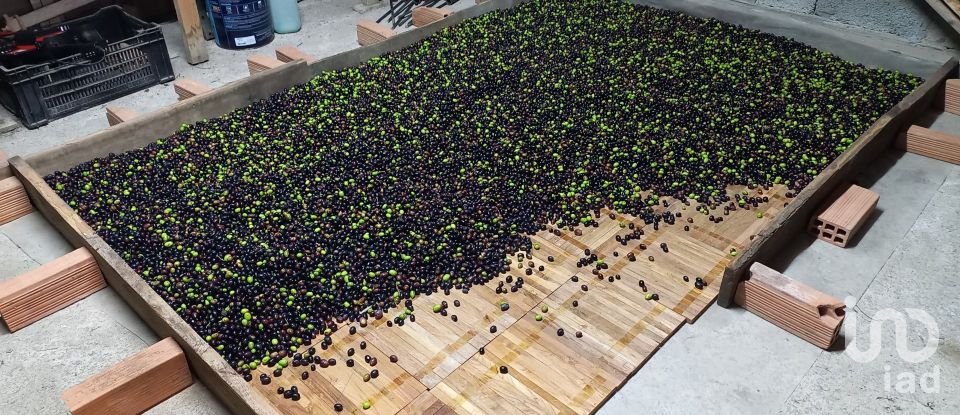 Casa indipendente 5 locali di 116 m² in Mezzanego (16046)