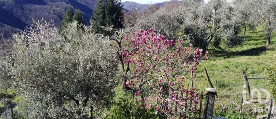 Casa indipendente 5 locali di 116 m² in Mezzanego (16046)