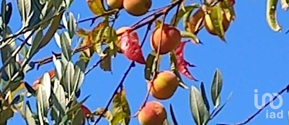 Casa indipendente 5 locali di 116 m² in Mezzanego (16046)