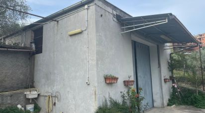 Negozio / locale commerciale di 120 m² in Castel Madama (00024)